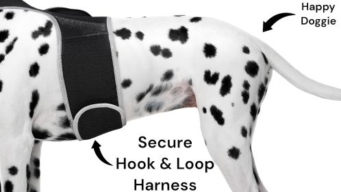 Pet Tracker Waterproof GSM GPS Dog Tracking Devices Wireless Pet Security Size:XS