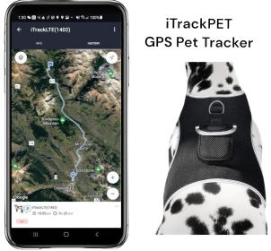 GSM GPS Wireless Pet Tracker for Cat/Dog Security Protection Tracking Size:XL