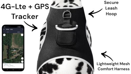 Wireless Dog Security Surveillance Portable GPS Tracker for Pets + App Size:M